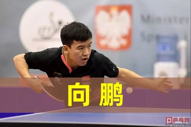 青少年阶段 青少年阶段