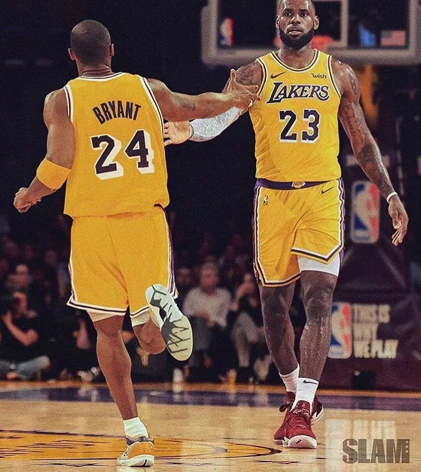 因而不是孤 因而不是孤