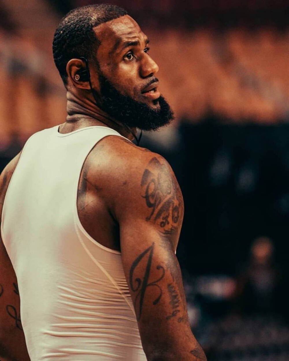 稳健策略下 稳健策略下